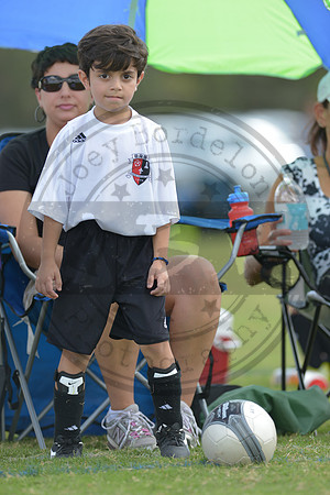 JB1_7425