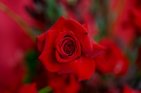 HDR Images