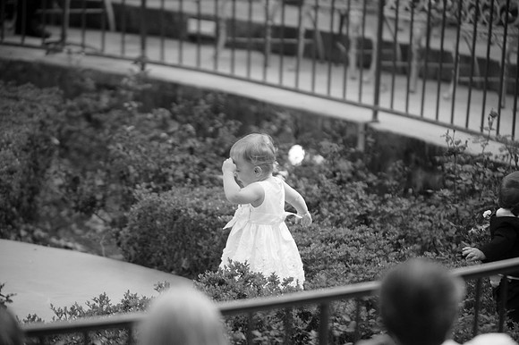 DSC_5624-2