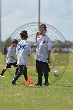 JB1_7198
