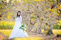 Bridals Facebook