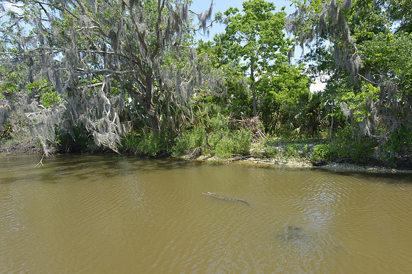 JB1_9716