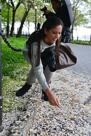 JB1_0239