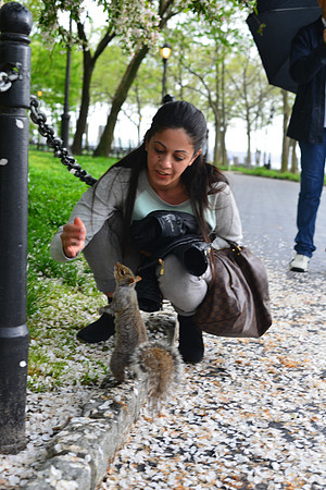 JB1_0246