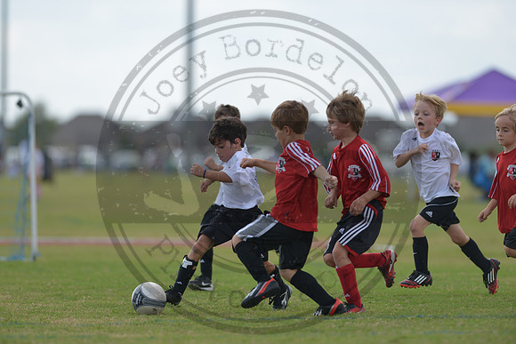 JB1_7529