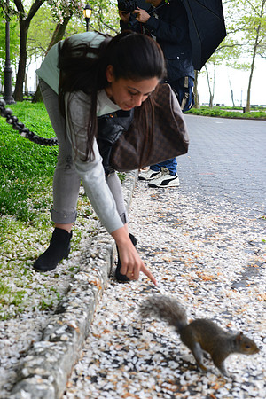 JB1_0237